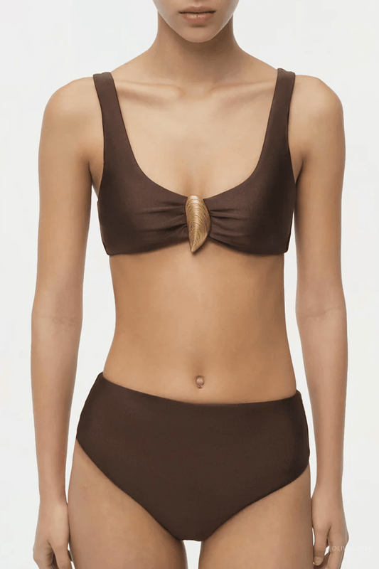 Veyra Shell Bikini Bottom in Chocolate